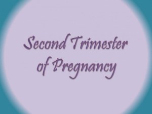 Happy Second Trimester Little One!!!