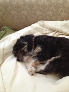 Her life is so rough