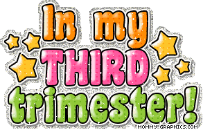 Third Trimester